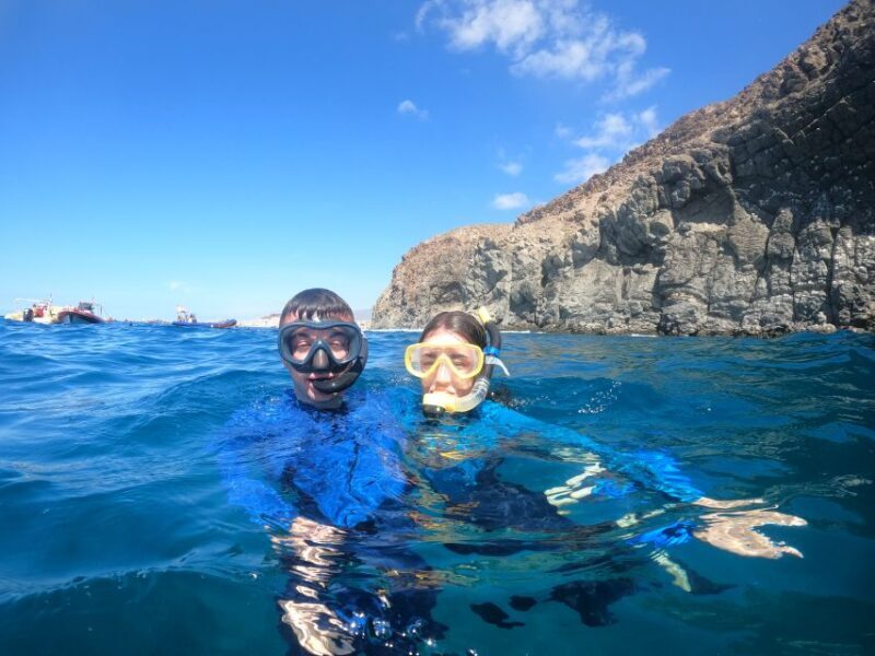Tenerife: Snorkeling Trip in a Turtle Habitat - The Value and Who It’s Best For