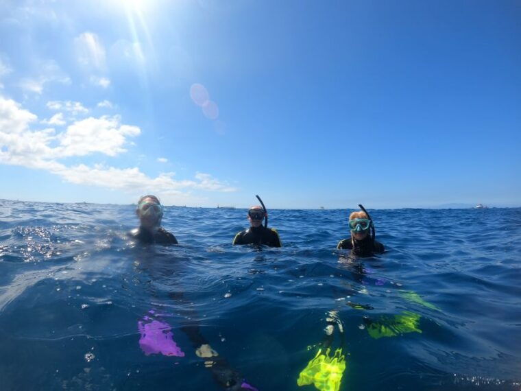 tenerife-snorkeling-trip-in-a-turtle-habitat