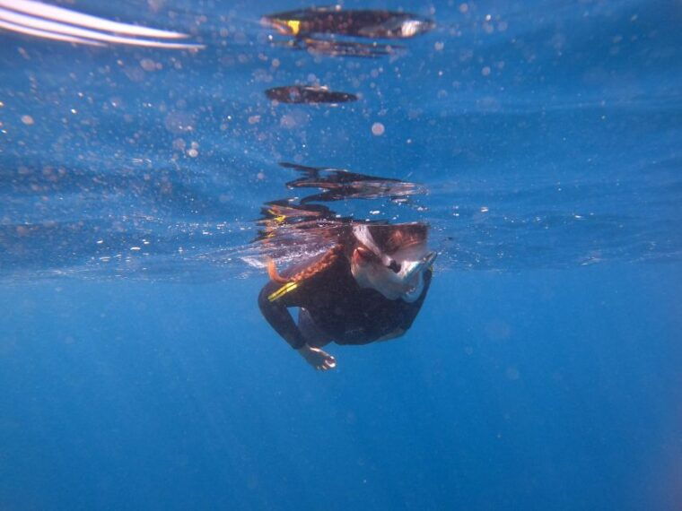 tenerife-snorkeling-trip-in-a-turtle-habitat