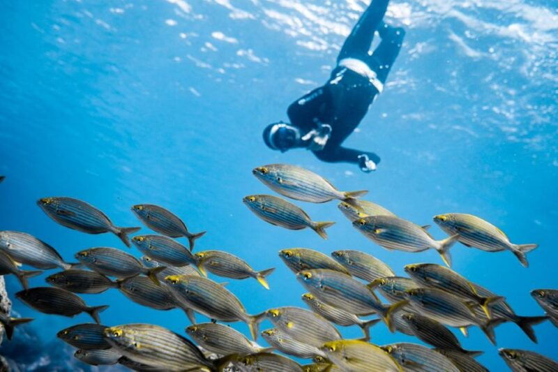 tenerife-snorkeling-underwater-with-a-freediving-instructor