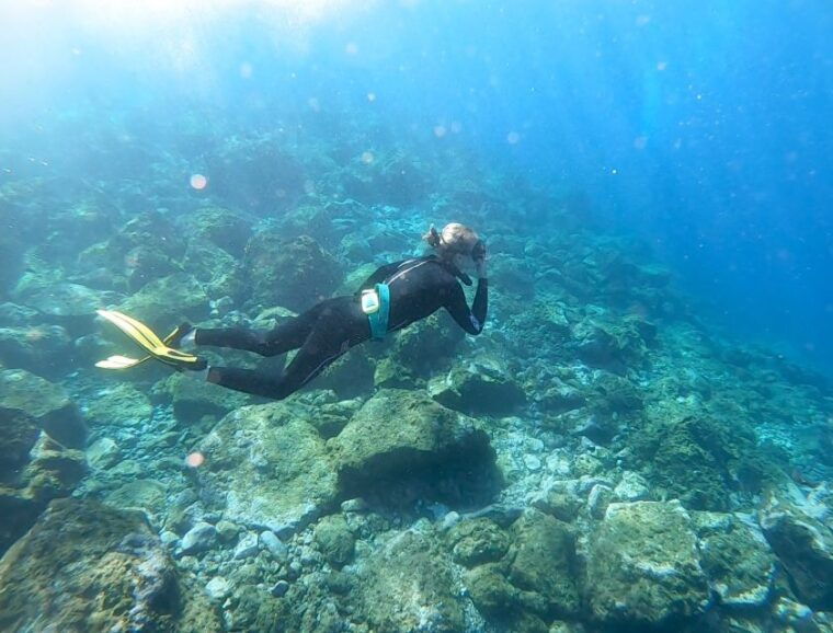 tenerife-snorkeling-underwater-with-a-freediving-instructor