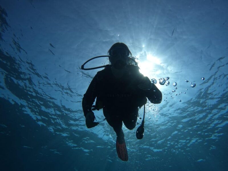 tenerife-south-diving-for-beginners-in-adeje
