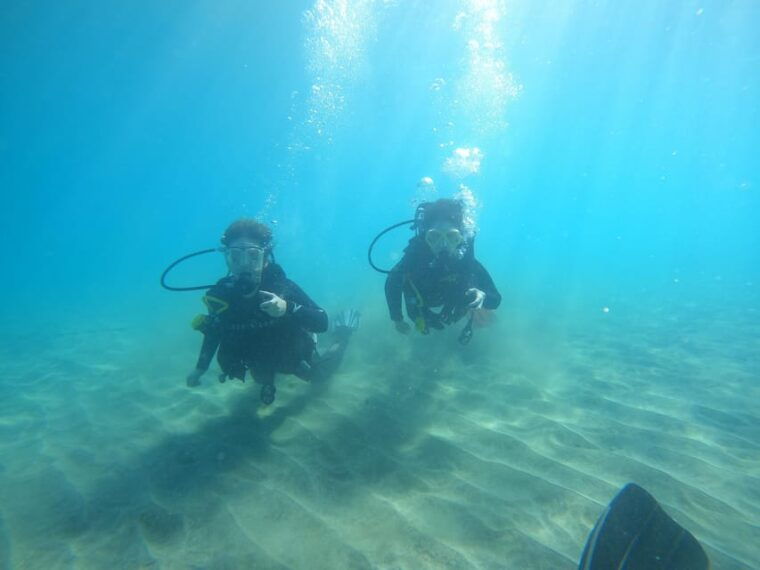 tenerife-south-diving-for-beginners-in-adeje
