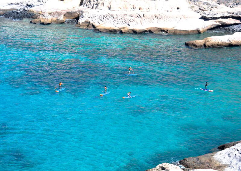 tenerife-south-paddleboarding-tour-and-snorkel