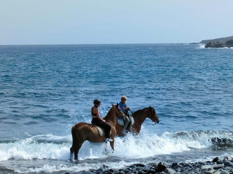 tenerife-south-private-horseback-riding-to-the-coast-brunch