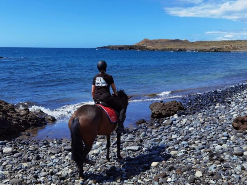 tenerife-south-private-horseback-riding-to-the-coast-brunch