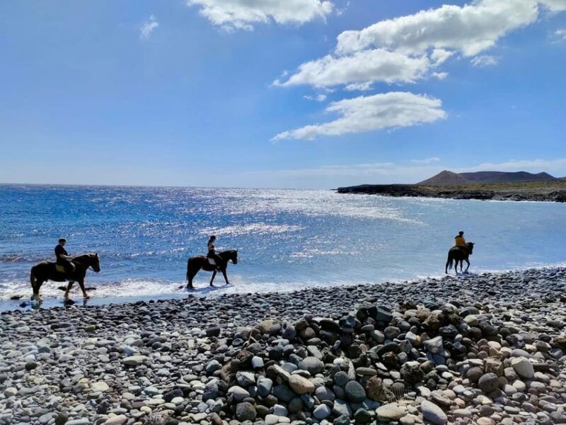 tenerife-south-private-horseback-riding-to-the-coast