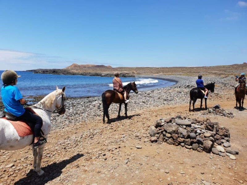 tenerife-south-private-horseback-riding-to-the-coast