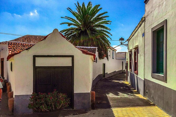 Tenerife South Private Tour: Secrets of the Volcanoes - Key Points