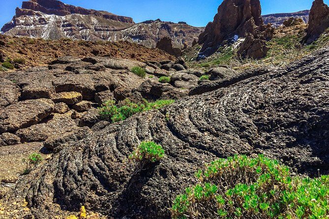 Tenerife South Private Tour: Secrets of the Volcanoes - Authentic Experiences and Practical Details