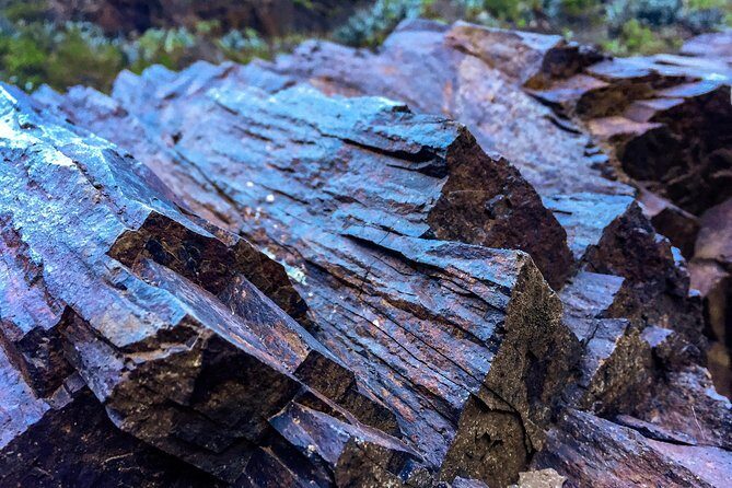 Tenerife South Private Tour: Secrets of the Volcanoes - The Sum Up: Who Is This Tour Best For?