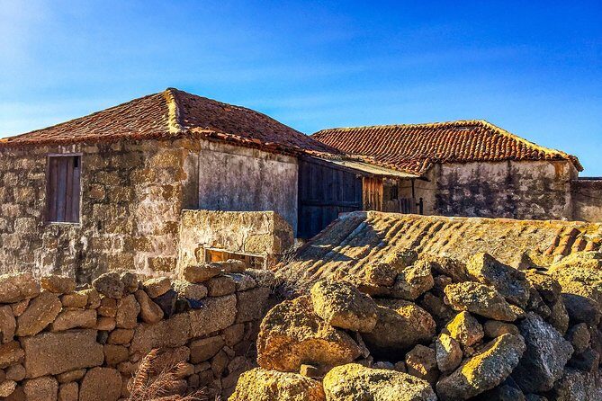 Tenerife South Private Tour: Secrets of the Volcanoes - FAQ