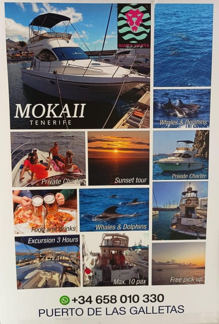 tenerife-south-safari-with-luxury-boat-animal-encounters