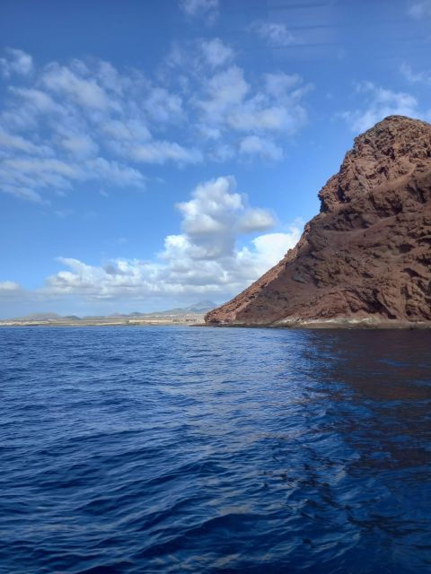 tenerife-south-safari-with-luxury-boat-animal-encounters