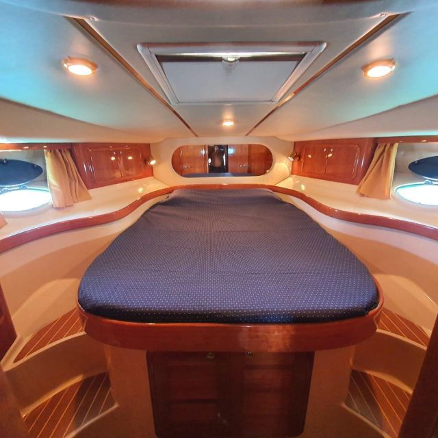 tenerife-south-safari-with-luxury-boat-animal-encounters