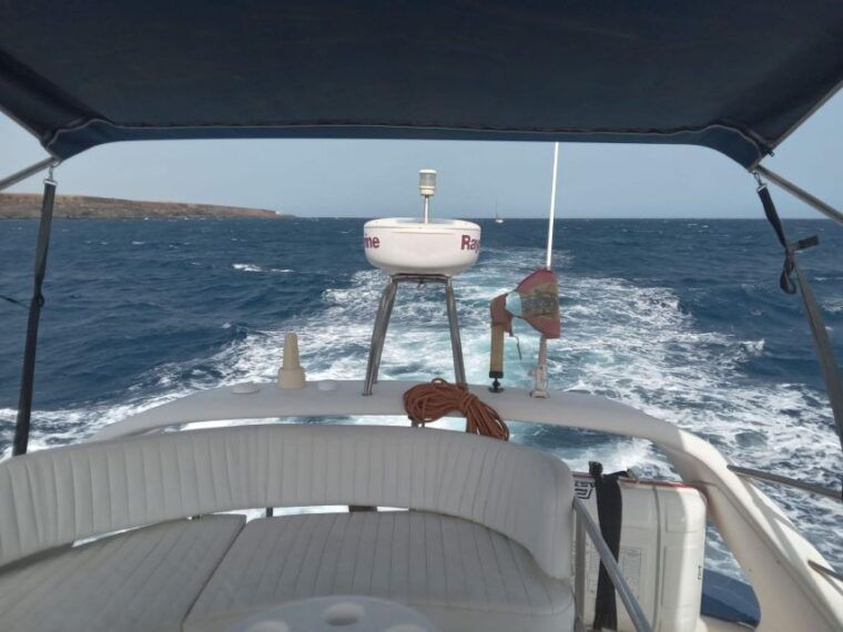 tenerife-south-safari-with-luxury-boat-animal-encounters
