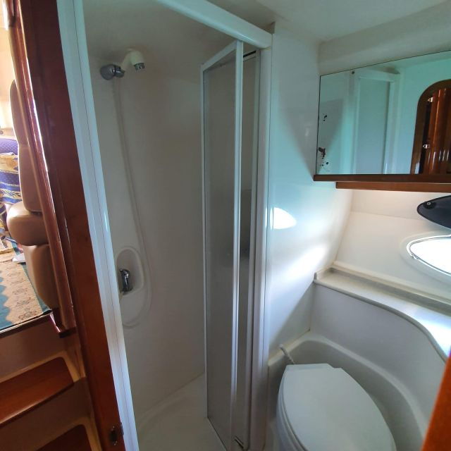 tenerife-south-safari-with-luxury-boat-animal-encounters