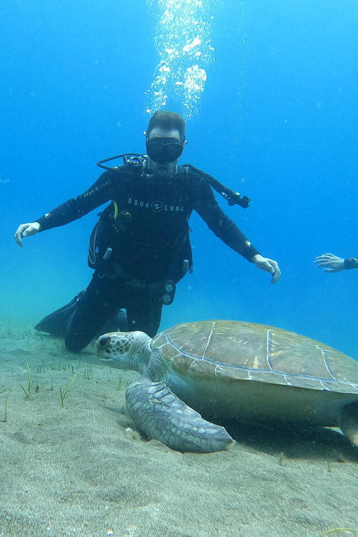 tenerife-south-scuba-dive-for-beginners-in-adeje