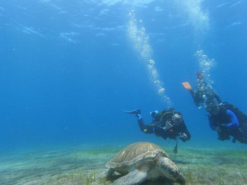 tenerife-south-scuba-dive-for-beginners-in-adeje