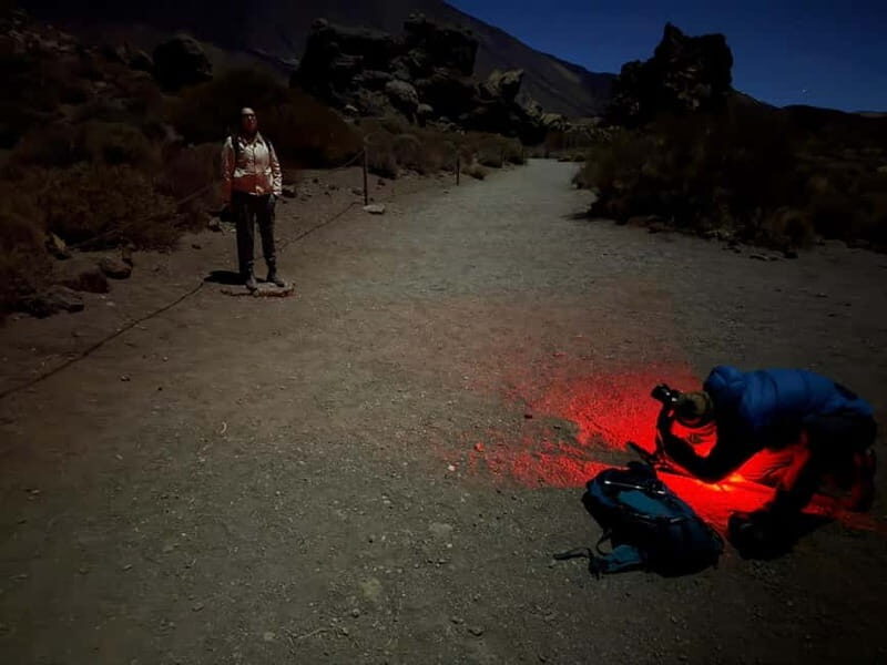 Tenerife: Stargazing Walk in Teide National Park - Exploring the Tour Itinerary in Detail