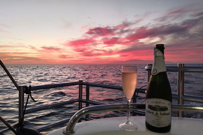 tenerife-sunset-catamaran-tour-with-transfer-food-and-drinks-included
