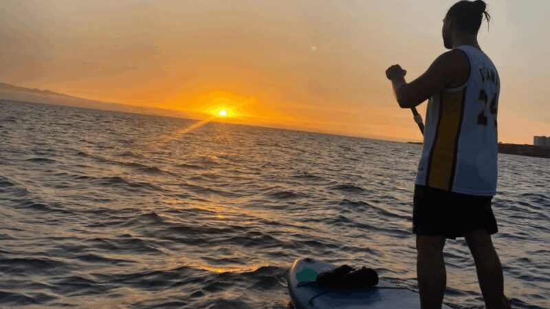Tenerife: Sunset Stand-Up Paddleboarding Tour - Key Points
