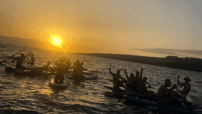 Tenerife: Sunset Stand-Up Paddleboarding Tour - Is It Worth the Price?