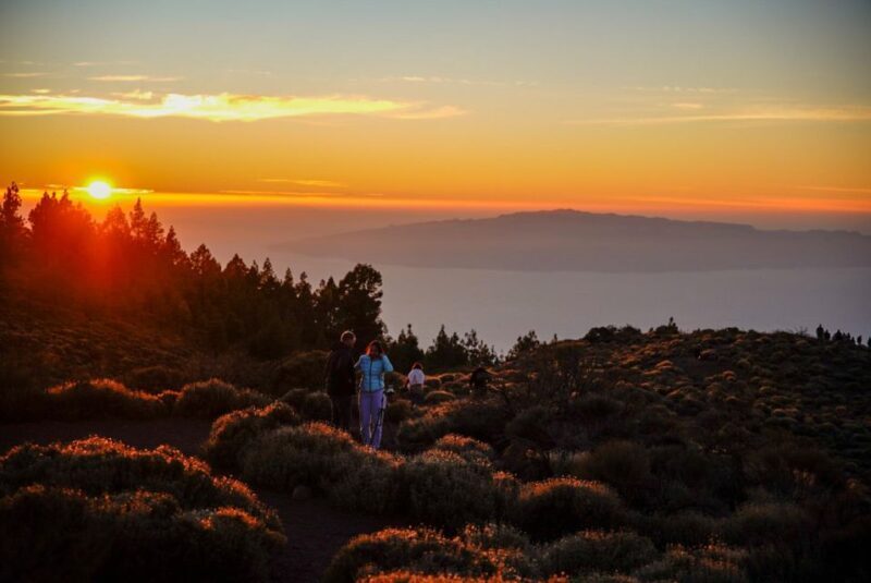 Tenerife: Sunset Volcano Teide Buggy Tour - Sunset and Wine: A Perfect End to the Day