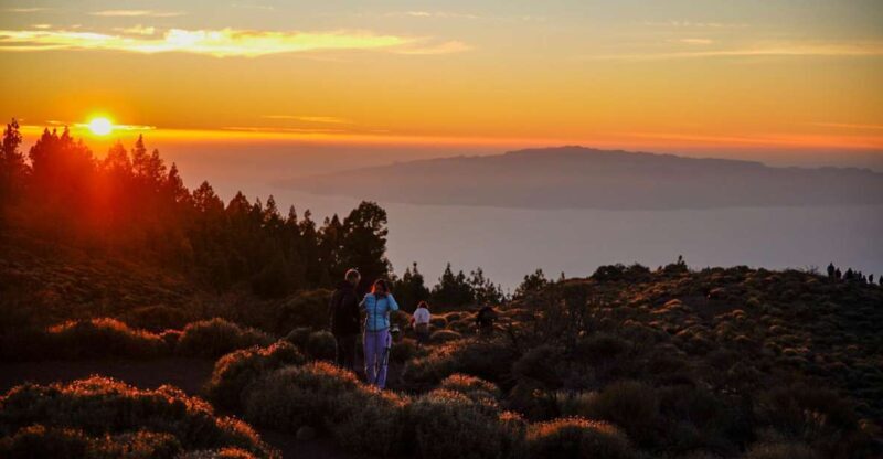 Tenerife: Sunset Volcano Teide Buggy Tour - Practical Details and What to Expect