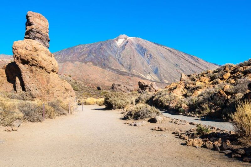 tenerife-teide-and-las-canadas-half-day-tour