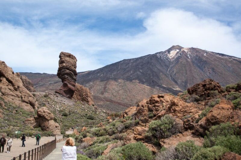 tenerife-teide-and-las-canadas-half-day-tour