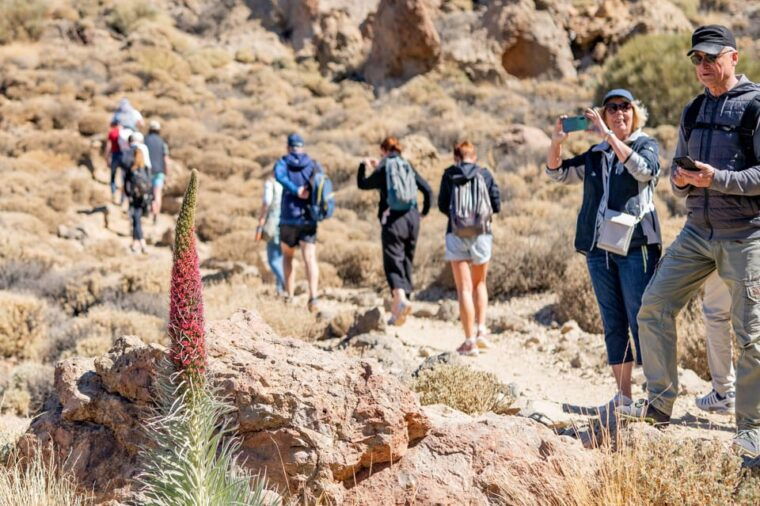 tenerife-teide-hiking
