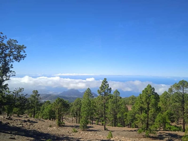 Tenerife: Teide, Icod de los Vinos & Garachico Full Day Tour - FAQ