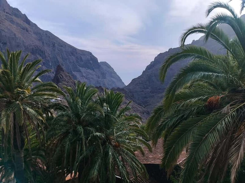 Tenerife: Teide, Masca, Garachico, and Sunset Exclusive Tour - Who Would Love This Tour?