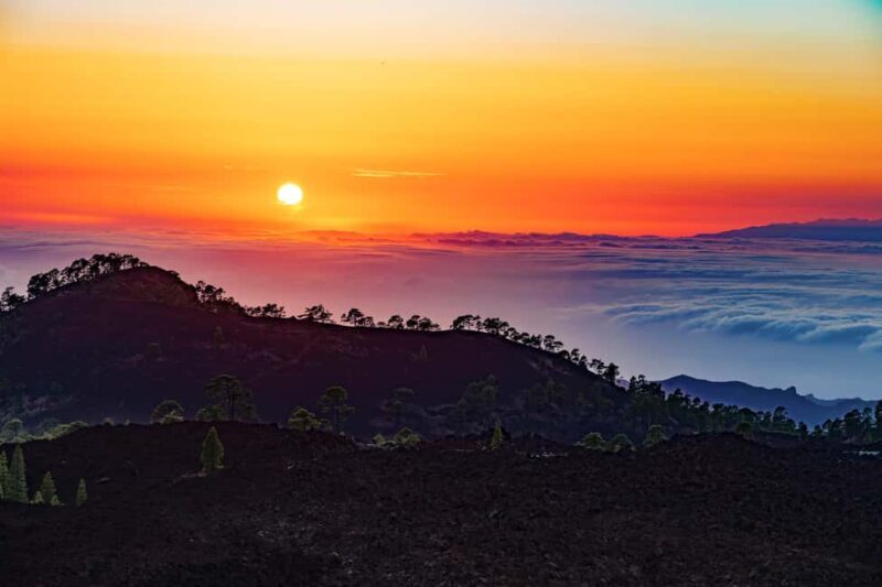 Tenerife: Teide Mountain Buggy On-Road GuidedTour with drink - What to Expect on the Tour