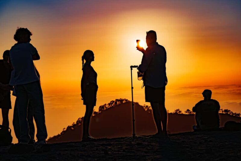 Tenerife: Teide Mountain On-Road Guided Quad Tour with drink - The Experience on the Road