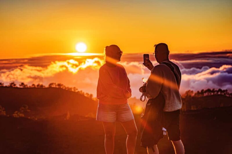 Tenerife: Teide Mountain On-Road Guided Quad Tour with drink - Authentic Feedback from Reviewers
