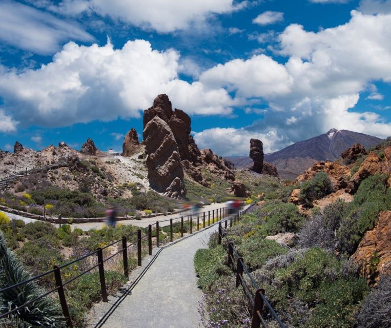 tenerife-teide-national-park-and-dolphins-sailboat-tour