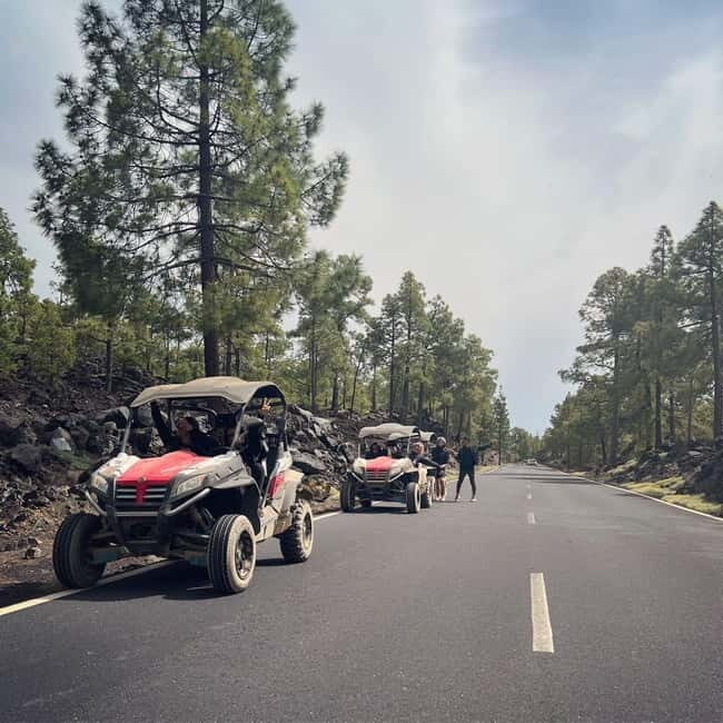 Tenerife: Teide National Park and Volcano Buggy Tour - Final Thoughts