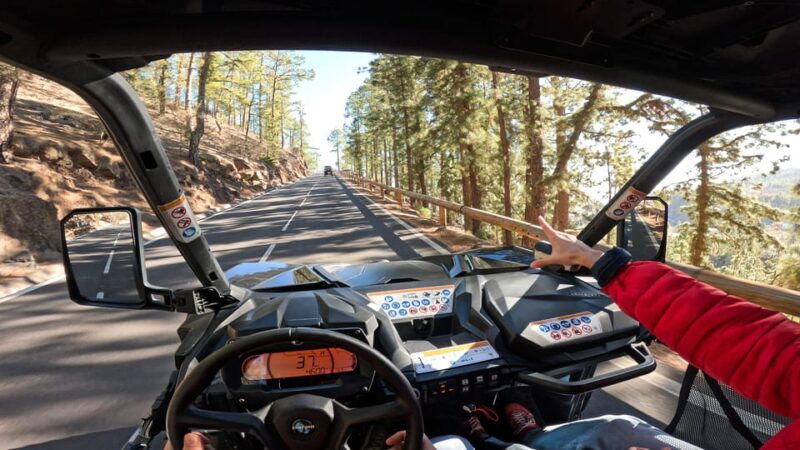 tenerife-teide-national-park-guided-buggy-tour