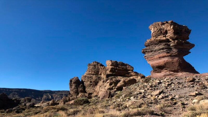 tenerife-teide-national-park-guided-full-day-trip-by-bus
