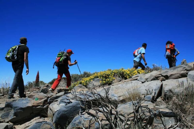 Tenerife: Teide National Park Guided Tour - Key Points