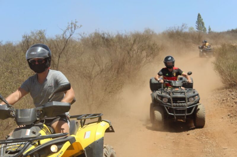 Tenerife: Teide National Park Quad Bike Tour - The Experience in Detail