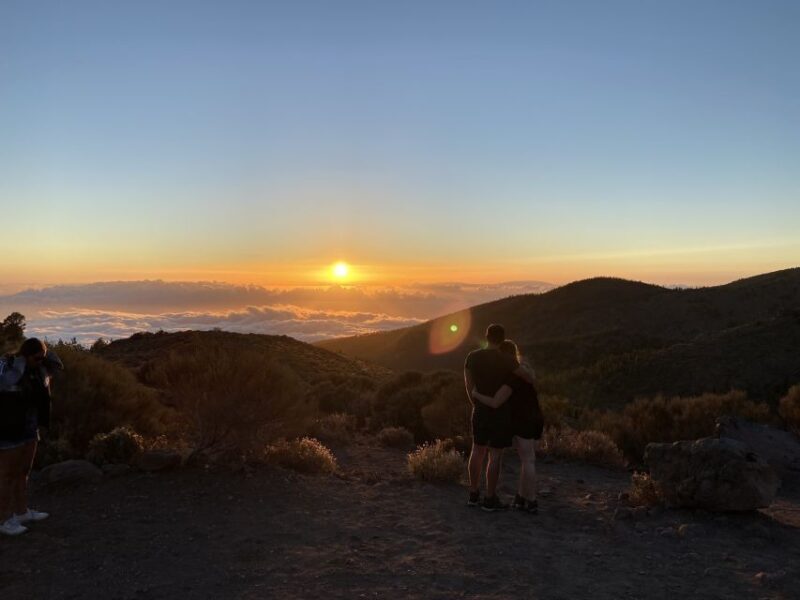 Tenerife: Teide National Park Quad Bike Tour - Who This Tour Is Best For