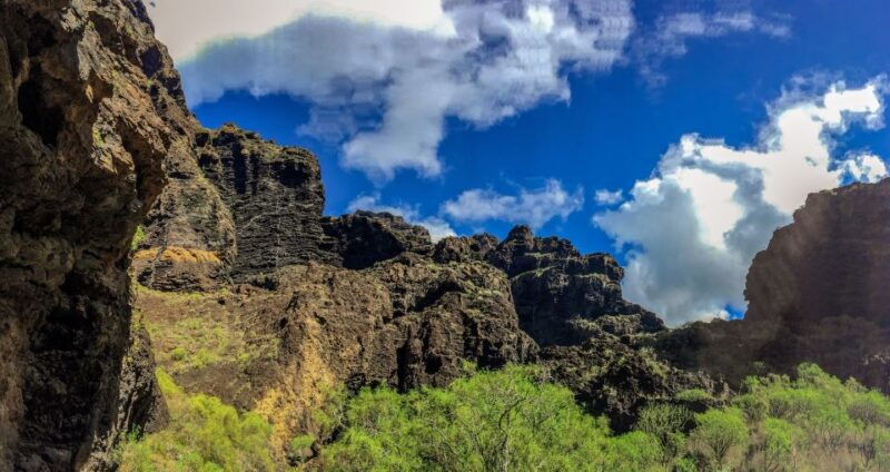 tenerife-teide-national-park-teno-rural-park-private-tour