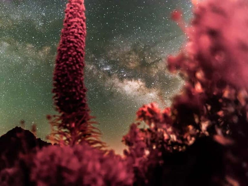 Tenerife: Teide Stargazing with an Astrophysicist - Authentic Experiences & Reviews