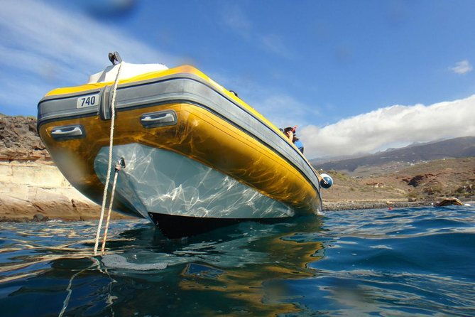 tenerife-turtle-and-snorkel-tour-from-costa-adeje-2