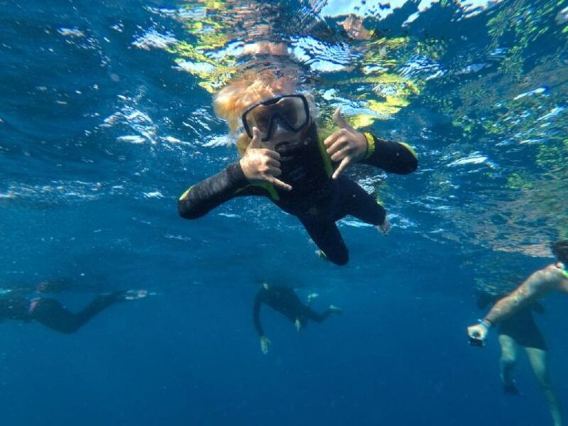 tenerife-underwater-lava-tongues-snorkel-excursion