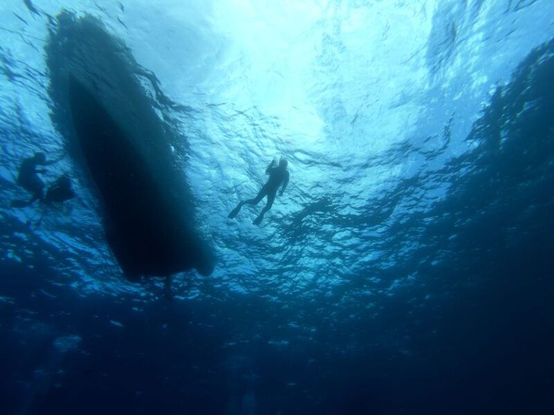 tenerife-underwater-lava-tongues-snorkel-excursion