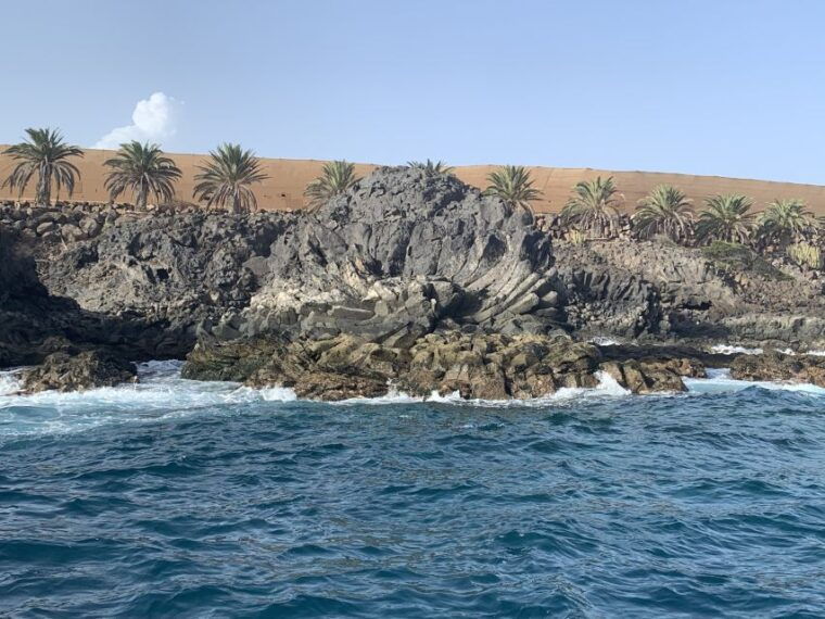 tenerife-underwater-lava-tongues-snorkel-excursion